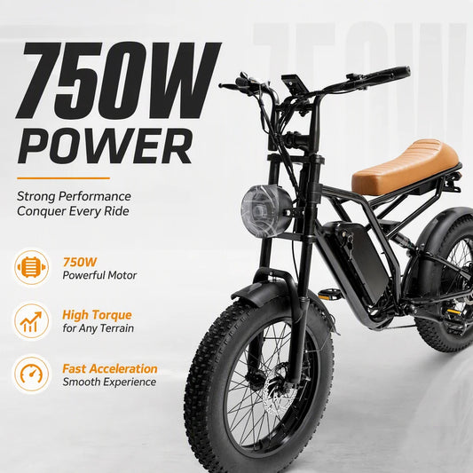 750W Fat Tire Electric Bike for Adults, 48V 15.6Ah E-Bike with 3 Riding Modes & 5 PAS Levels, Shimano 7-Speed, Full Suspension, E-ABS Brakes, 20"x4" Retro All-Terrain Electric Bicycle (50km Range)